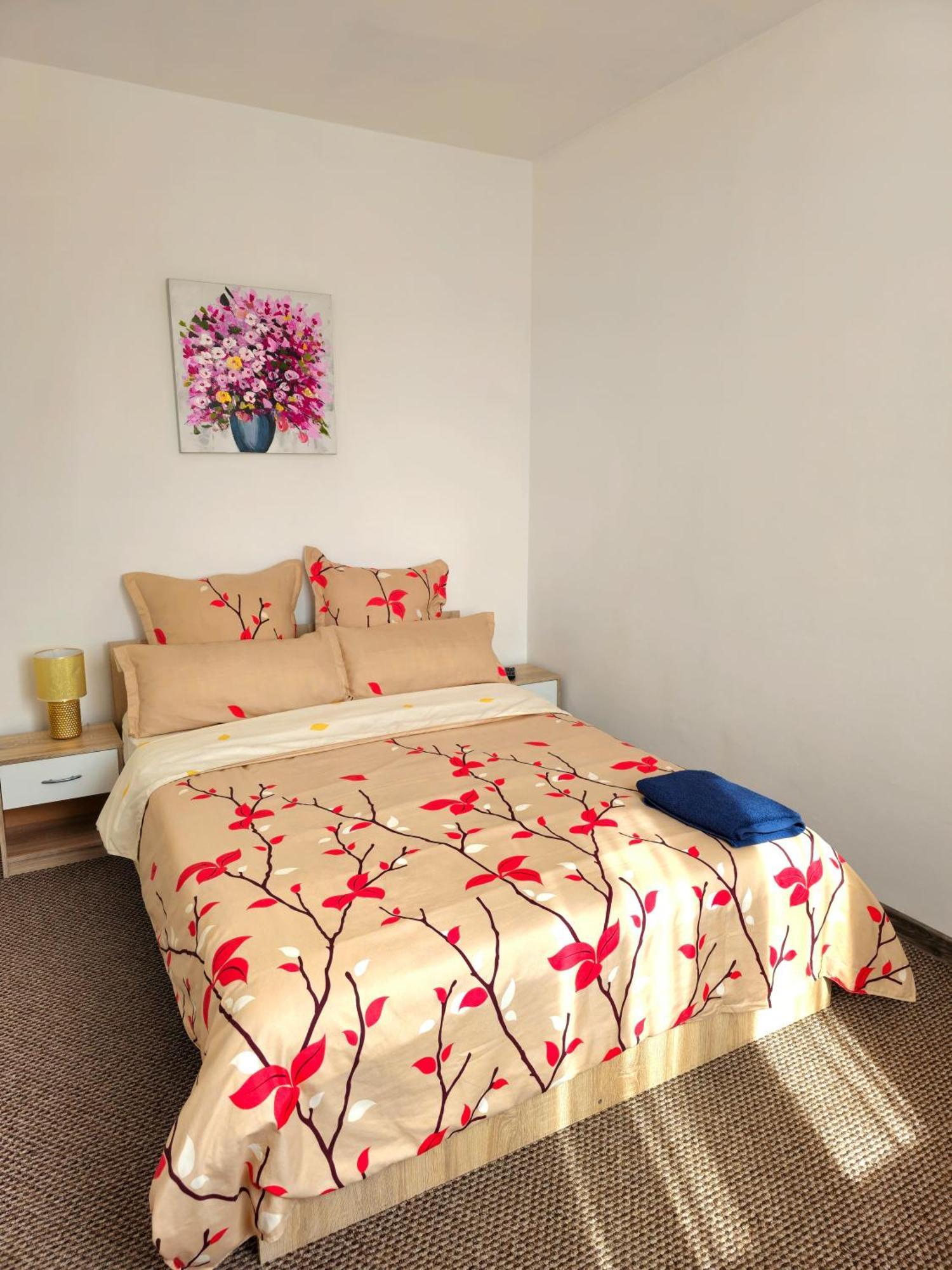 Aparthotel Sibiu Cedonia エクステリア 写真